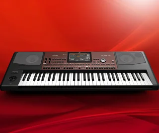 korg pa700 professional